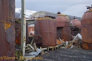 Rusting remains of an old whaling station
