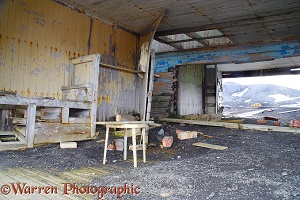 Inside the remains of an old whaling station