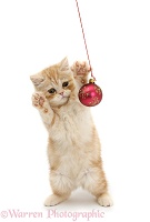 Ginger kitten playing with Christmas bauble