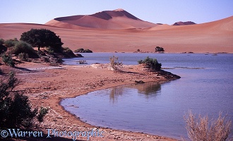 Desert flood, Sossusvlei 1997