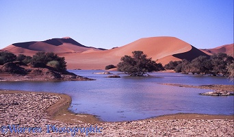 Desert flood, Sossusvlei 1997