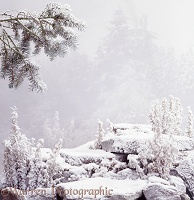Snowy background