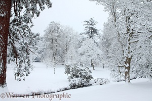 Snowy scenery in Albury Park