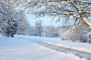 Albury Park snow scene