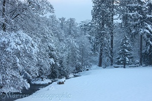 Albury Park snow scene