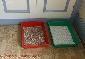 Two cat litter trays in domestic setting