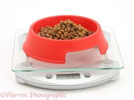 Weighing out some dry catfood