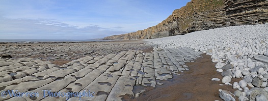 Limestone rocky beach