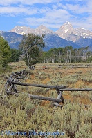 Old style Buck and Rail fence