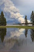 Distant smoke rising from a forest fire