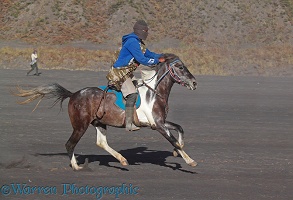 Man in balaclava galloping on a horse an Bromo