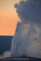 Old Faithful geyser at sunset