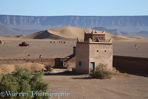 Sahara desert, east of Zagora