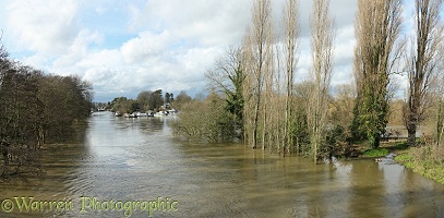 River Thames in flood 2014