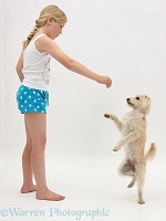 Girl teaching dog to stand on hind legs
