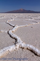 Polygon formations on surface of Salar de Uyuni Salt Pan