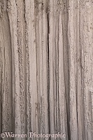 Lines on a shaft carved by rain in soft rock