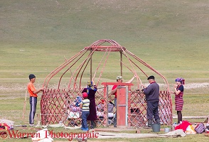 Kyrgyz family erecting a traditional yurt