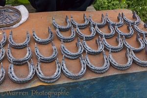 Horse shoes at the Karakol Animal Market