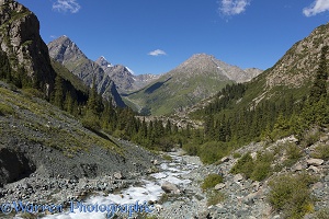 Terskey Alatau Mountains, Karakol, Kyrgyzstan