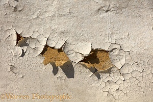 Crazed dried up mud, Altyn Emel National Park