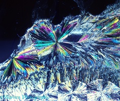 Sugar (sucrose) crystals viewed by polarised light