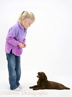 Girl with Chocolate Labrador Retriever pup