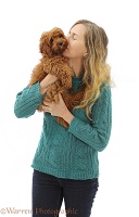 Woman holding red Cavapoo puppy