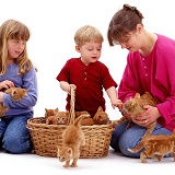 Family with kittens in a basket