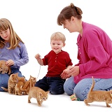 Family with six ginger kittens