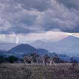 Fire and Storm Clouds in African bush