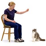 Girl teaching cat to sit