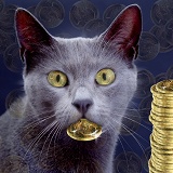 Cat with coin legend