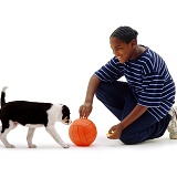 Boy and puppy with a ball