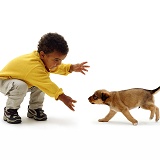 Boy greeting little brown puppy