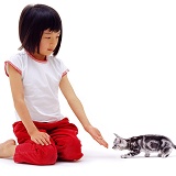 Oriental girl with silver kitten