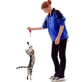 Girl with grasping silver tabby cat
