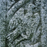 Lichen covered grave stone