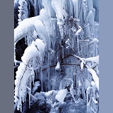 Icicles at Harrison Lake