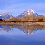 Geese and Grand Tetons