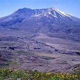 Mt. St. Helens and flowers