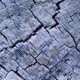 Driftwood patterns