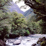New Zealand river scene 3D R