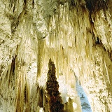 Waitomo cave 2 3D R