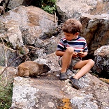 Boy sharing a biscuit with a rock hyrax