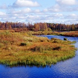 Finland river scene