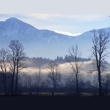 Misty scene in Fraser Valley