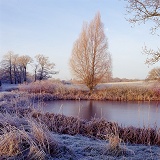 Frosty scene with frozen pond