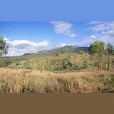 Bush scene at Cania Gorge