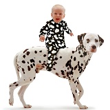 Baby girl riding a Dalmatian